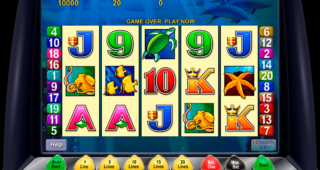 Dolphin Treasure